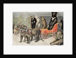 Jardin d'Acclimatation Paris Zoo (1895) by Anonymous