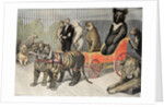 Jardin d'Acclimatation Paris Zoo (1895) by Anonymous