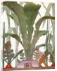Farmer cultivating a giant turnip and radishes by Anonymous