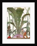Farmer cultivating a giant turnip and radishes by Anonymous