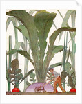 Farmer cultivating a giant turnip and radishes by Anonymous