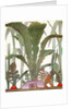 Farmer cultivating a giant turnip and radishes by Anonymous