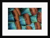 Oscellated Tujrkey feather pattern blues and golden tans by Anonymous