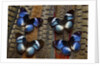 Hypolimas monteironis, the Black-tipped Diadem Butterflies on Pheasant Tail feathers by Anonymous