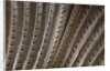 The beautiful wing feathers of Argus Phesant by Anonymous