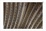 The beautiful wing feathers of Argus Phesant by Anonymous