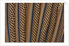 The beautiful wing feathers of Argus Phesant by Anonymous