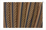 The beautiful wing feathers of Argus Phesant by Anonymous