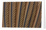 The beautiful wing feathers of Argus Phesant by Anonymous