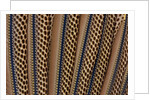 The beautiful wing feathers of Argus Phesant by Anonymous