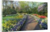 Springtime colors and pathway in Kuekenhof gardens with Hyacinths, Daffodils, Tulips Holland (Nether by Anonymous