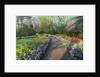 Springtime colors and pathway in Kuekenhof gardens with Hyacinths, Daffodils, Tulips Holland (Nether by Anonymous