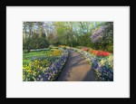 Springtime colors and pathway in Kuekenhof gardens with Hyacinths, Daffodils, Tulips Holland (Nether by Anonymous