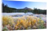 morning frost adds beauty to Broken Top, Three Sisters Wilderness, Oregon Cascades, by Anonymous