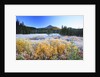 morning frost adds beauty to Broken Top, Three Sisters Wilderness, Oregon Cascades, by Anonymous