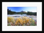 morning frost adds beauty to Broken Top, Three Sisters Wilderness, Oregon Cascades, by Anonymous
