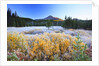 morning frost adds beauty to Broken Top, Three Sisters Wilderness, Oregon Cascades, by Anonymous