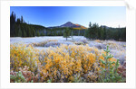 morning frost adds beauty to Broken Top, Three Sisters Wilderness, Oregon Cascades, by Anonymous