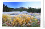 morning frost adds beauty to Broken Top, Three Sisters Wilderness, Oregon Cascades, by Anonymous