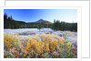 morning frost adds beauty to Broken Top, Three Sisters Wilderness, Oregon Cascades, by Anonymous