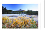 morning frost adds beauty to Broken Top, Three Sisters Wilderness, Oregon Cascades, by Anonymous