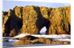 rock formations at low tide, Bandon Beach, Oregon Coast, Pacific Northwest. Pacific Ocean by Anonymous