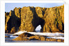 rock formations at low tide, Bandon Beach, Oregon Coast, Pacific Northwest. Pacific Ocean by Anonymous