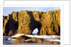rock formations at low tide, Bandon Beach, Oregon Coast, Pacific Northwest. Pacific Ocean by Anonymous