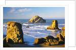 rock formations at low tide, Bandon Beach, Oregon Coast, Pacific Northwest. Pacific Ocean by Anonymous