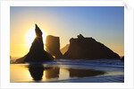 sunset over rock formations along Bandon Beach at lowtide, Oregon Coast by Anonymous