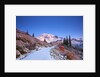 sunrise over Mt. Rainier with snow on fall colors, Washington State by Anonymous