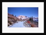 sunrise over Mt. Rainier with snow on fall colors, Washington State by Anonymous