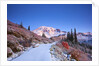sunrise over Mt. Rainier with snow on fall colors, Washington State by Anonymous