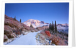 sunrise over Mt. Rainier with snow on fall colors, Washington State by Anonymous