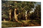 Shishkin I. Painting by Anonymous