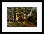 Shishkin I. Painting by Anonymous