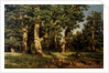 Shishkin I. Painting by Anonymous