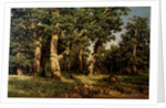 Shishkin I. Painting by Anonymous