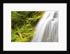 Beautiful Proxy Falls, Willamette National Forest, Oregon Cascade Mountains. Pacific Northwest by Anonymous