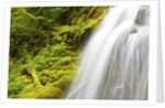 Beautiful Proxy Falls, Willamette National Forest, Oregon Cascade Mountains. Pacific Northwest by Anonymous