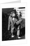 Portrait of dressed- up chimp by Anonymous