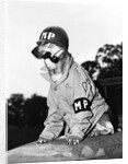 Portrait of dressed- up dog by Anonymous