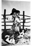 Portrait of dressed- up cats by Anonymous