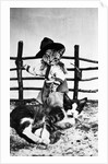 Portrait of dressed- up cats by Anonymous