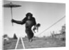 Chimp balancing on line with umbrella and puppy by Anonymous