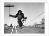 Chimp balancing on line with umbrella and puppy by Anonymous