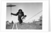 Chimp balancing on line with umbrella and puppy by Anonymous