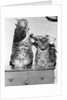 Portrait of two funny cats by Anonymous