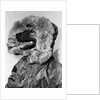 Portrait of dog in anorak by Anonymous
