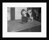 Cat photographing with camera by Anonymous